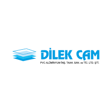 Dilek Cam
